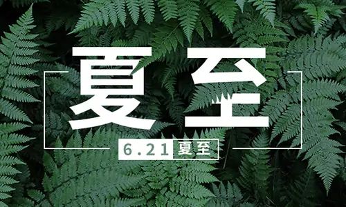 夏至|百易環衛車，許你清涼一夏