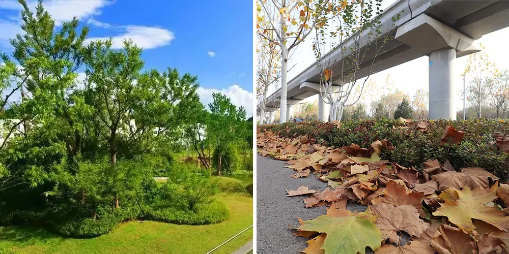 純電動樹葉收集車_多功能樹葉收集車_吸樹葉的機器_掃樹葉神器
內容 純電動樹葉收集車_多功能樹葉收集車_吸樹葉的機器_掃樹葉神器
內容