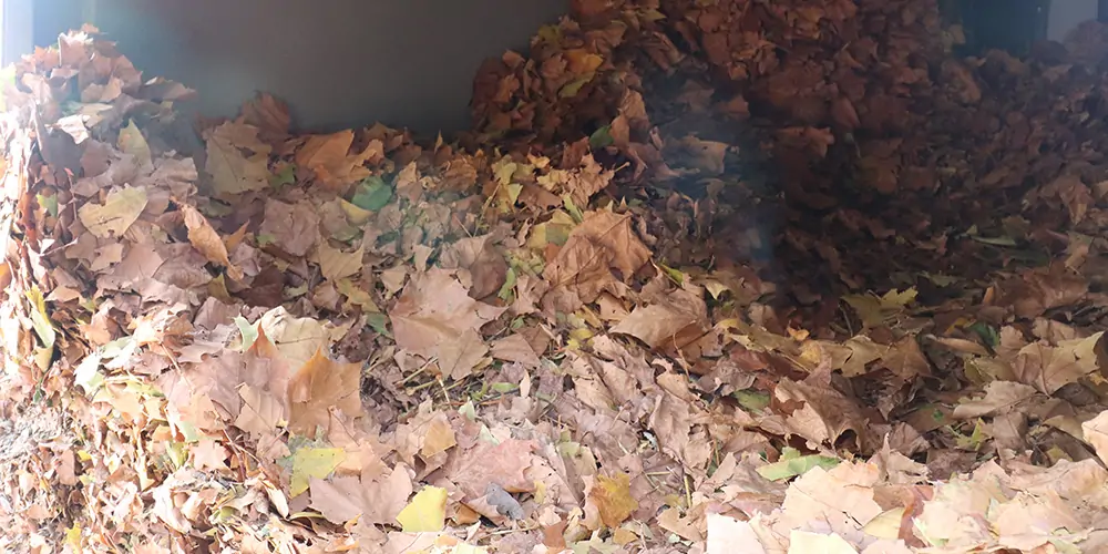 純電動樹葉收集車_多功能樹葉收集車_吸樹葉的機器_掃樹葉神器 純電動樹葉收集車_多功能樹葉收集車_吸樹葉的機器_掃樹葉神器